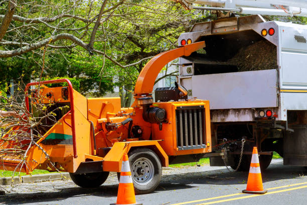Best Soil Testing and Treatment  in Sea Girt, NJ